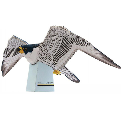 仿真动物小鸟游隼老鹰3d立体纸模型DIY手工制作儿童折纸益智玩具