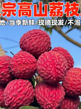 正宗广西荔枝王新鲜现摘灵山高山老树九里香荔枝当季农家时令水果