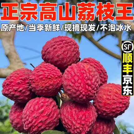 正宗广西荔枝王新鲜现摘灵山高山老树九里香荔枝当季农家时令水果