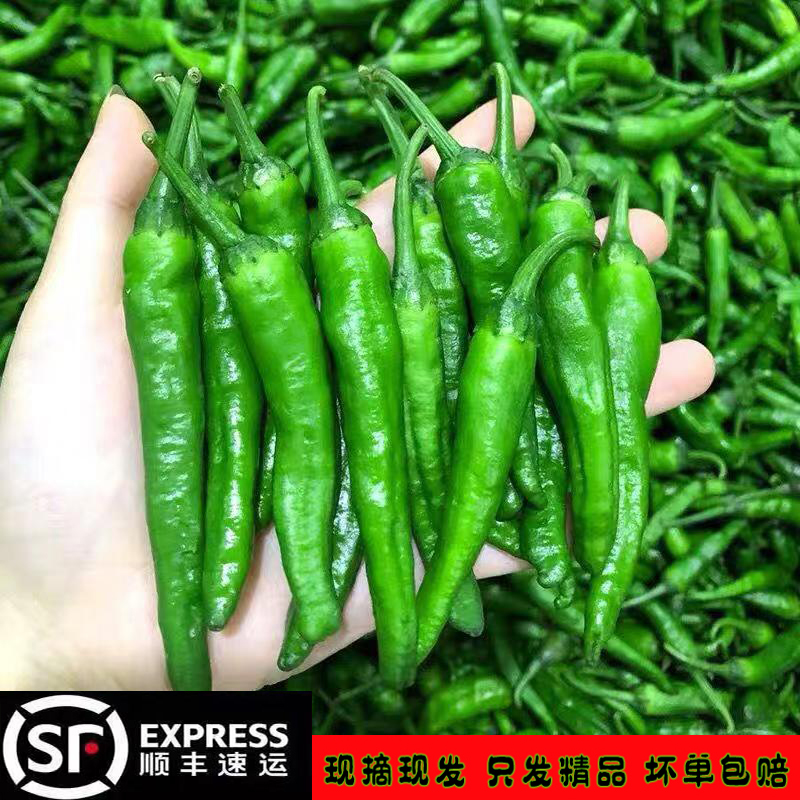 软糯香甜微辣正宗樟树港辣椒