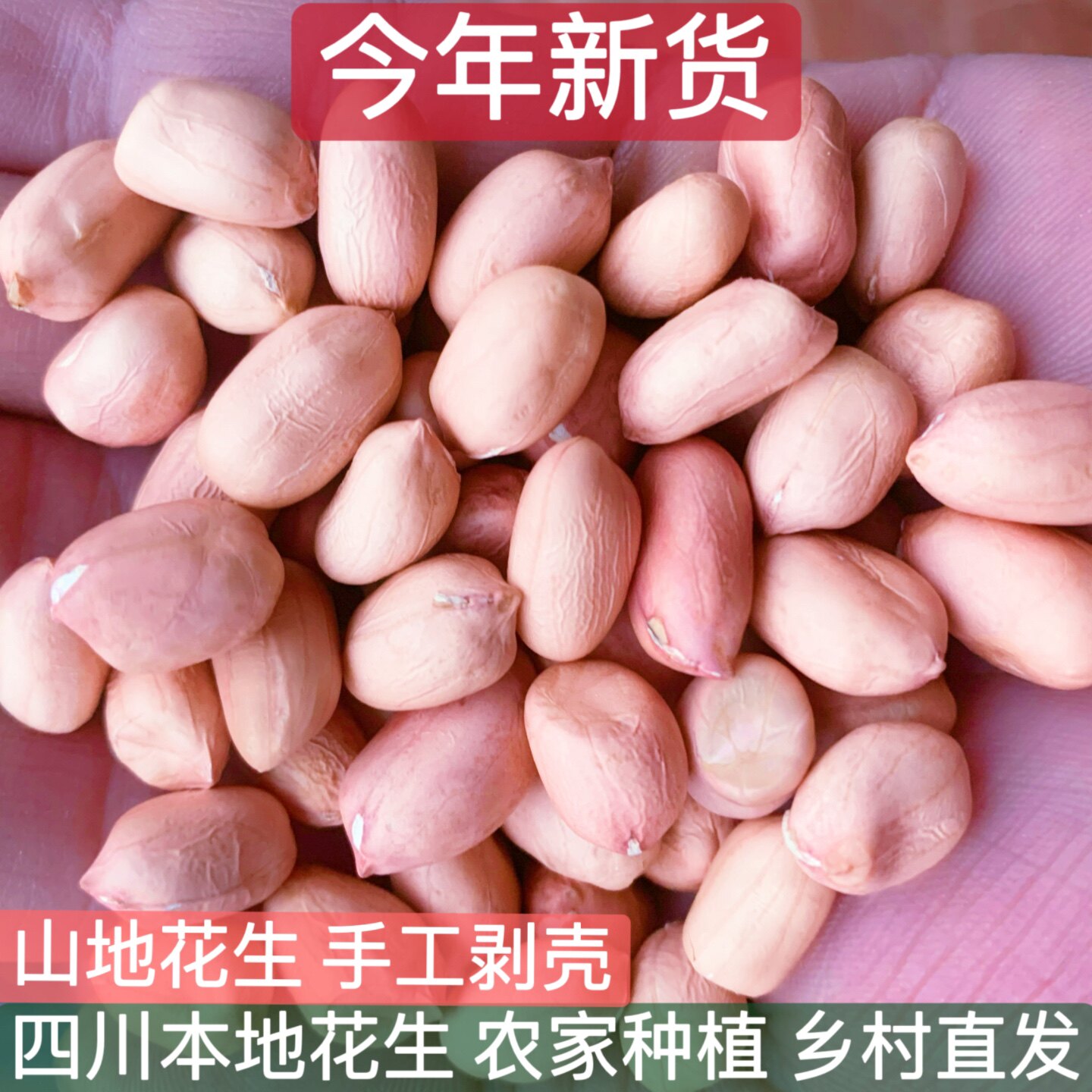 26手剥新晒干去壳花生仁农家山区小粒天府白粉皮生花生米仁新鲜货