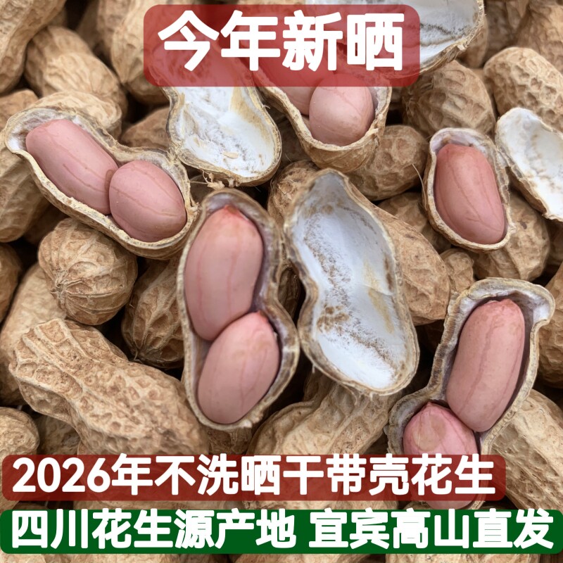 四川农家自种新鲜花生带壳干花生现挖泥巴粉白米水煮生花生小花生