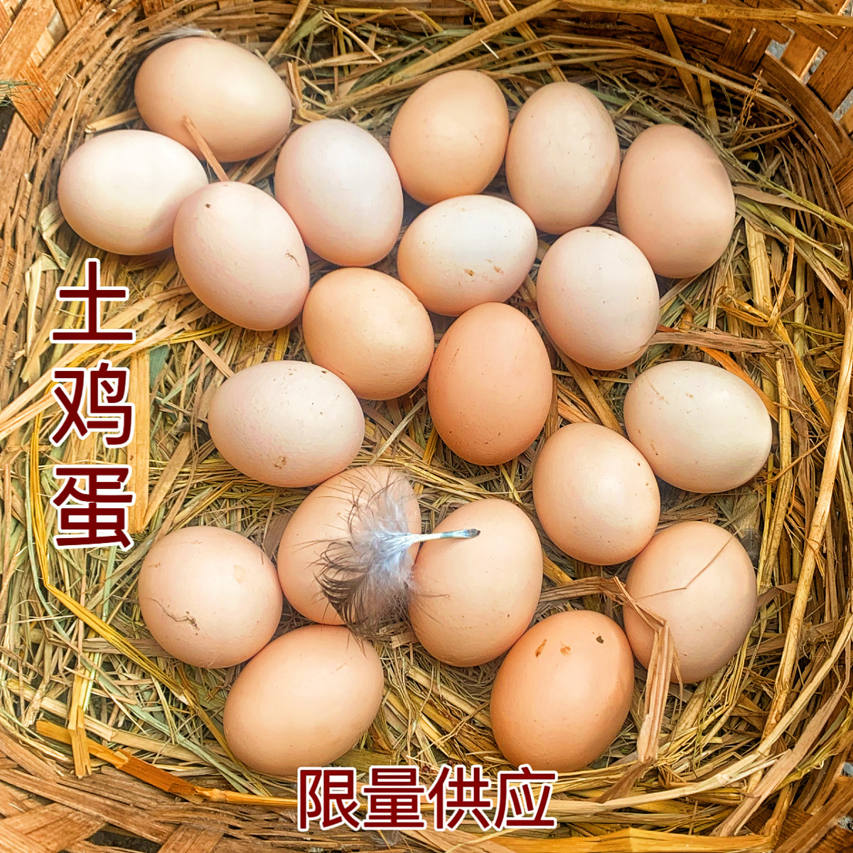 土鸡蛋正宗四川乡下散养笨鸡蛋五谷杂粮喂养放心农家鸡蛋鲜柴鸡蛋