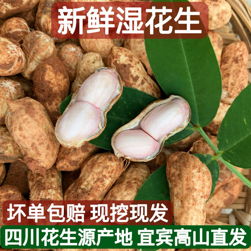 四川农家自种带壳生花生小花生
