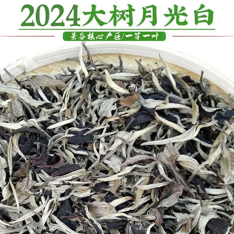 君点大树月光美人500g盒普洱茶