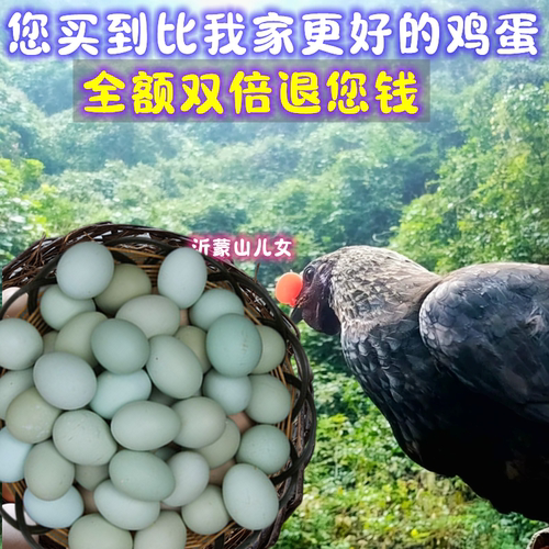 正宗散养绿壳乌鸡蛋土鸡蛋新鲜