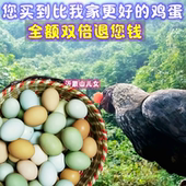正宗土鸡蛋散养绿壳乌鸡蛋新鲜农村野外月子孕妇本绿色虫草笨50枚