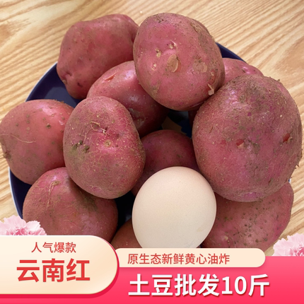 正宗云南新红皮黄心土豆2024新鲜现挖可蒸煮炸鸡蛋鹅蛋中果粉糯香