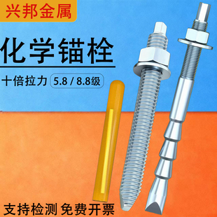 化学螺栓高强度8.8级化学锚栓膨胀倒锥形定型锚栓m12m16m18m20m24