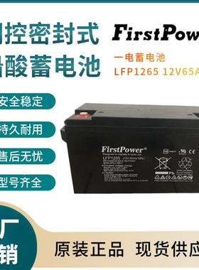 LFP1265 12V65AH 电话系统 基站储能 电梯应急