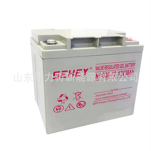 SEHEY蓄电池NPG/SH38-12铅酸免维护12V38AH机房UPS电源