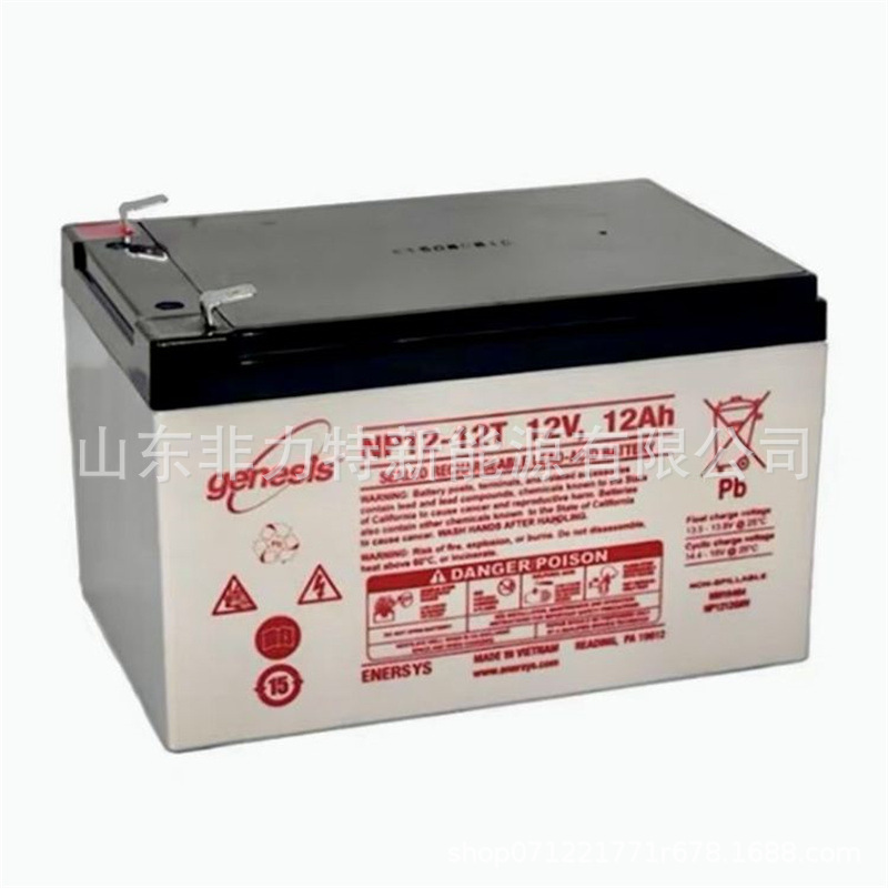 蓄电池NP120-12 免维护12V120AH通信机房基站 UPSEPS电源