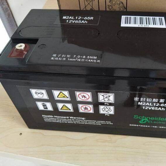 M2AL12-55蓄电池12V55AH消防EPS系统专用电池