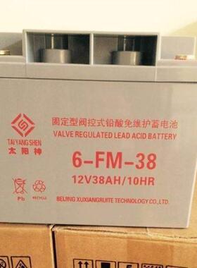 铅酸蓄电池6-GFM-38 免维护 12V38AH/20HR 阀控密封式