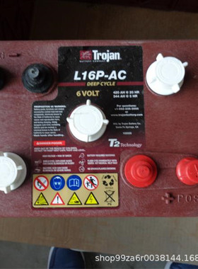 美国Trojan 蓄电池T-145PLUS观光车升降平台6V260AH洗地车电