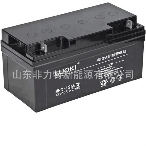 LUOKI蓄电池MPC-1255 12V55AH直流屏UPS电瓶EPS设备营销中心