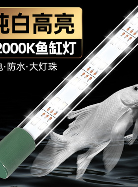 宽压110-240伏新款超亮白光灯鱼缸灯led灯防水蝴蝶鲤观赏照明吸盘