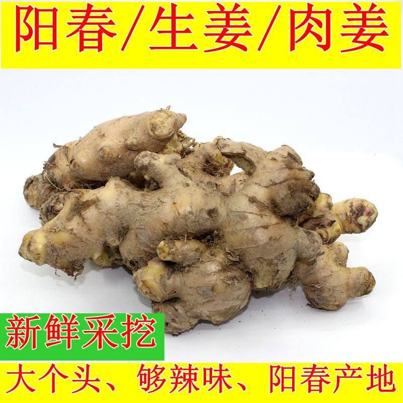 新鲜生姜老姜500g正宗阳春特产大肉姜老姜食用大姜广东无硫肉姜块,水产肉类/新鲜蔬果/熟食,生姜/南姜,淘宝优惠券,粉丝福利购,淘宝优惠卷