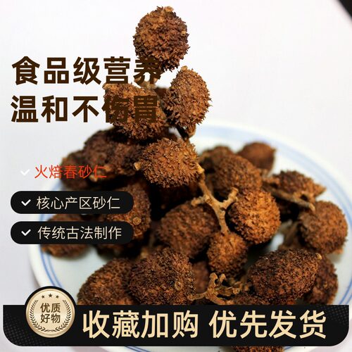 精选春砂仁干果2025年新货火焙春砂仁黄苗仔砂仁回甘回甜阳春特产