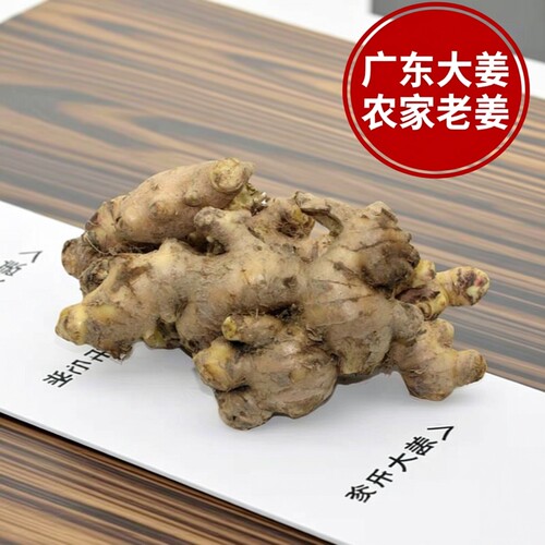新鲜生姜老姜500g正宗阳春特产大肉姜老姜食用大姜广东无硫肉姜块