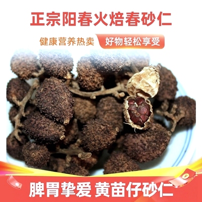 春砂仁干果火焙黄苗仔春砂仁2025新干货正宗阳春特产农家砂仁500g