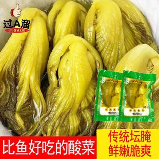 潮汕酸菜酸脆可口泡菜风味特产美食酸菜鱼烹饪美味直销酸菜炒牛肉