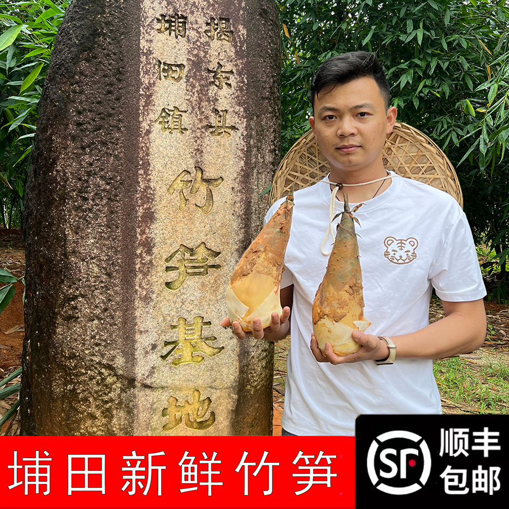 顺丰包邮揭阳鲜嫩埔田竹笋新鲜现挖当季大头笋食用鲜笋野生酥脆鲜