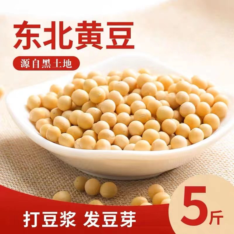 【牛二条】东北黄豆大粒豆自家种植新黄豆5斤精选新货包邮