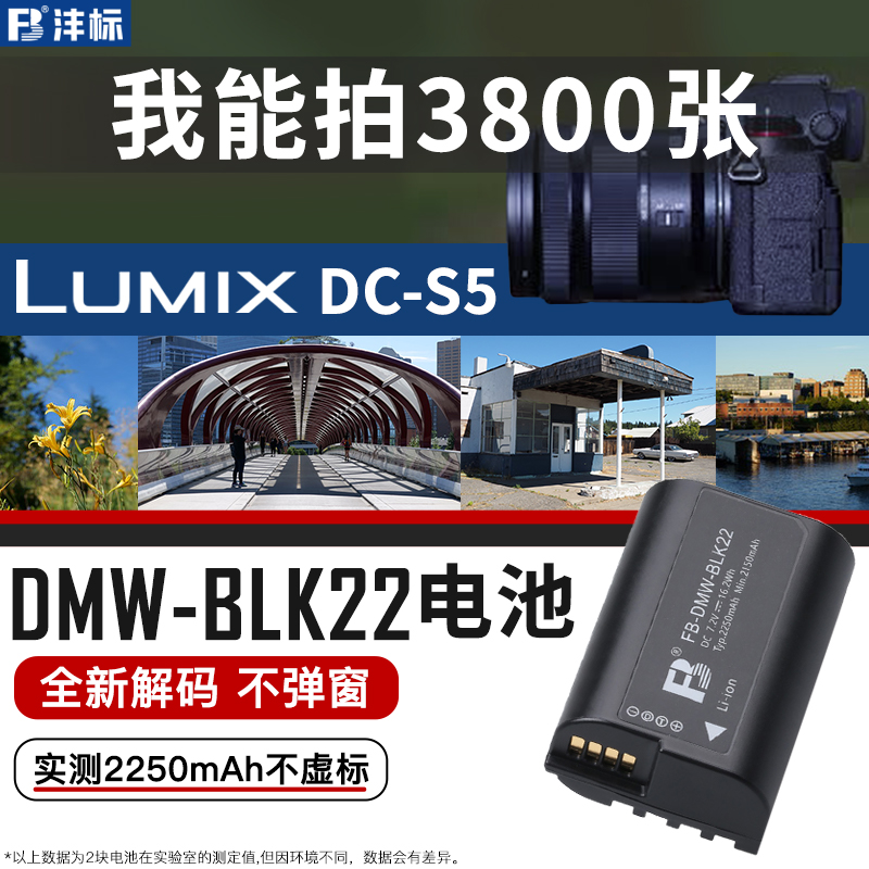 沣标DMW-BLK22相机电池适用于松下Lumix DC-S5 S5K S5M2 S5GK GH6单反GH6L GH5M2L全画幅无反II充电器配件 3C数码配件 数码相机电池 原图主图