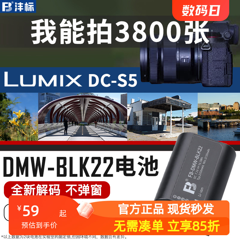 沣标DMW-BLK22相机电池适用于松下Lumix DC-S5 S5K S5M2 S5GK GH6单反GH6L GH5M2L全画幅无反II充电器配件 3C数码配件 数码相机电池 原图主图