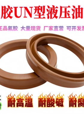氟胶油封耐高温UN/Y型液压油封大全45-115密封圈现货供应腐蚀密封
