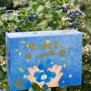 云南雪山蓝莓花香版 水果天花板级别 星莓纯甜爆浆嘎嘣脆甜新鲜当季