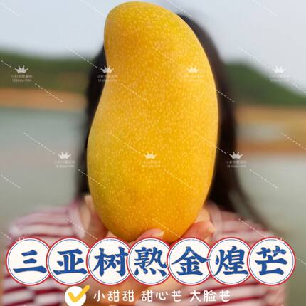 海南直发树熟大金煌芒果水仙芒三亚甜心芒大脸芒新鲜水斤8斤顺丰