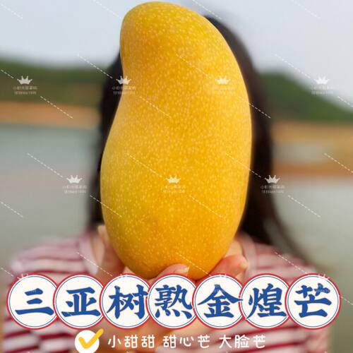 三亚树熟大金煌芒特级果收到就吃
