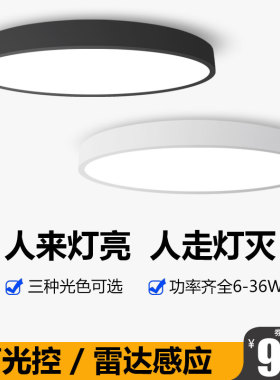led智能感应吸顶灯声控雷达人体入户玄关过道走廊楼梯车库感应灯