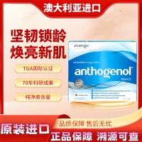 【正品保障】澳洲anthogenol月光宝盒葡萄籽胶囊100粒装花青素