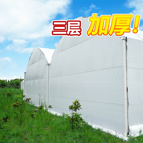 进口黑白膜长寿加厚聚乙烯农膜 大棚专用双色地膜防晒隔热耐用