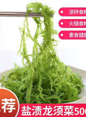 盐渍龙须菜绿藻凉拌菜火锅食材