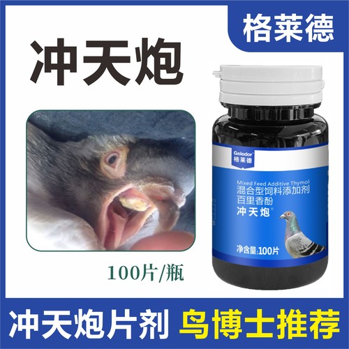 冲天炮赛鸽呼吸道格莱德鸽子用品