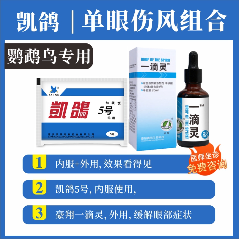 豪翔一滴灵鹦鹉赛鸽专用眼部保健单眼伤风流泪非鸽药大全鸽子专用