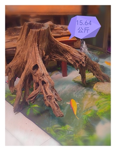 铁沉沉水海南黎母山雷击奇楠沉香15.64公斤,雷击碳化沉香蚁漏,