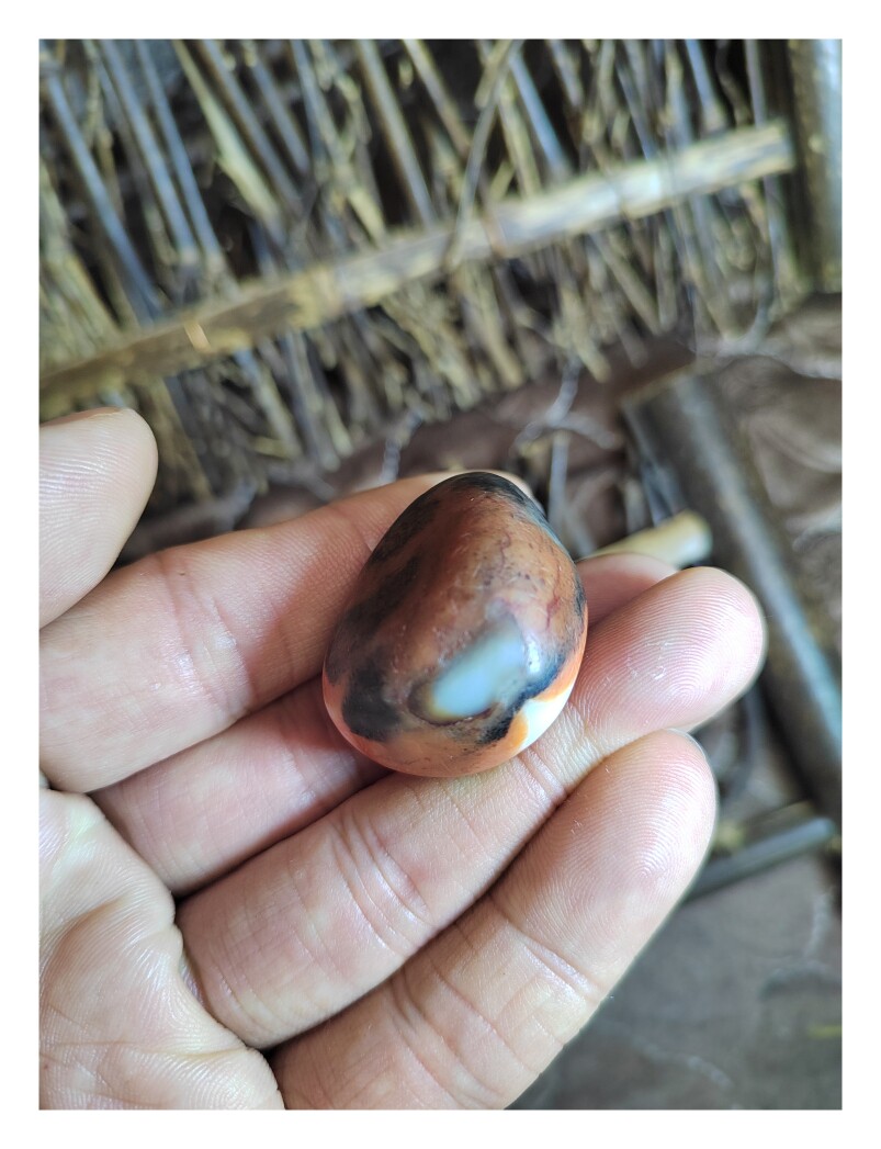 老维族称其虎儿籽，新疆玛丽艳老河道虎儿籽羊脂玉，皮色艳丽