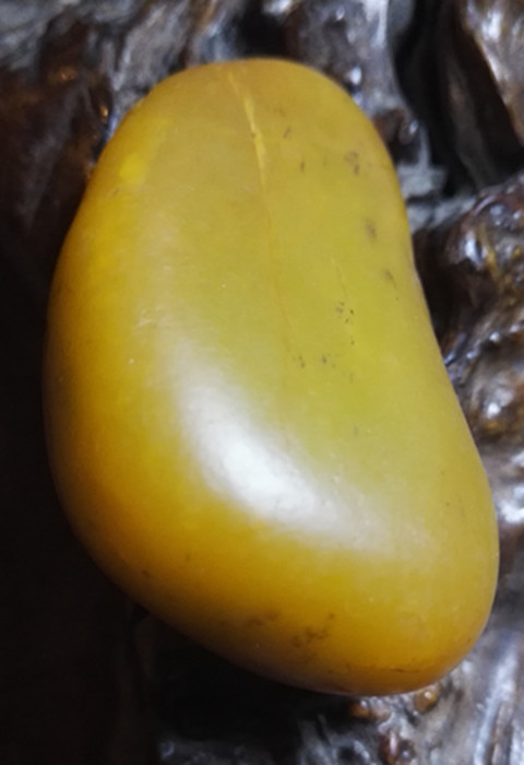 秋梨黄皮新疆和田玉黄玉籽料板栗黄黄花黄籽料原石 板栗黄籽料