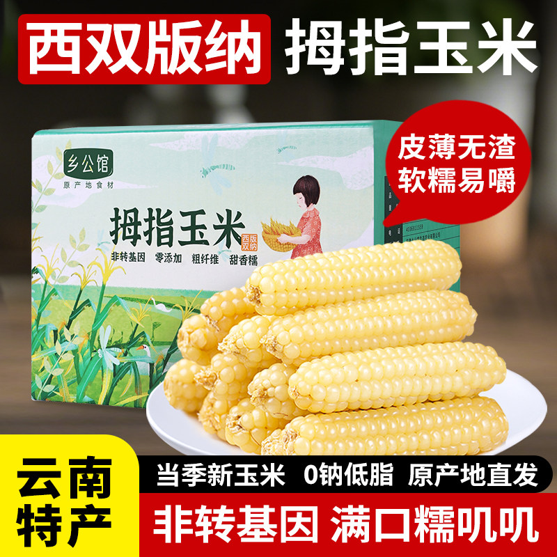 乡公馆云南西双版纳拇指香甜糯小玉米新鲜手指粘糯玉米早餐旗舰店