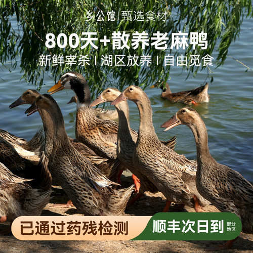 正宗现杀老鸭整只新鲜鸭肉