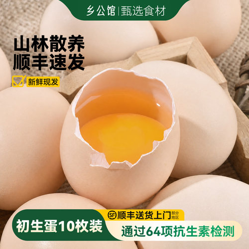 正宗山林散养顺丰送货上门