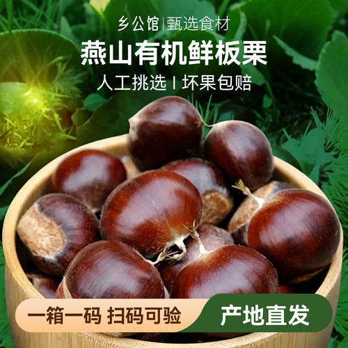 燕山有机新鲜板栗产地直发