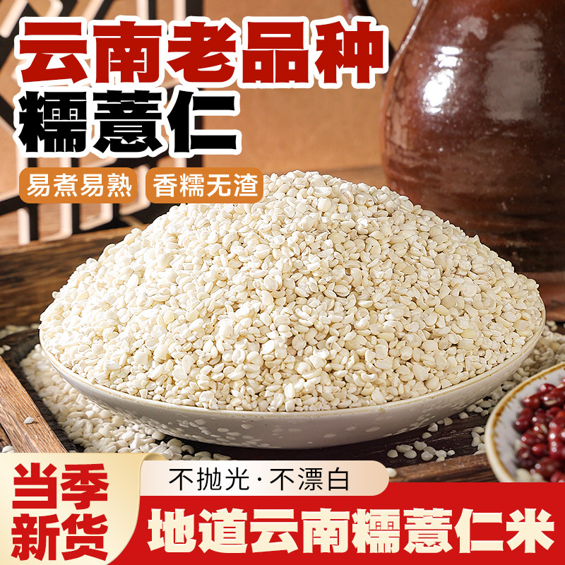 云南糯薏米仁新米官方旗舰店正宗新鲜杂粮生小薏苡仁意薏仁米新货