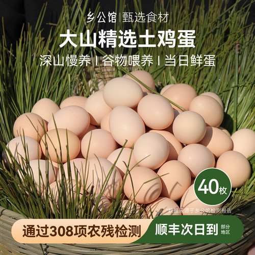 乡公馆大山土鸡蛋正宗散养