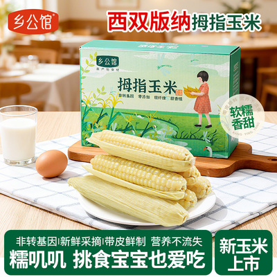 西双版纳拇指玉米宝宝更爱吃